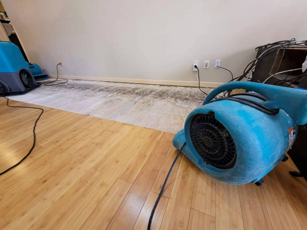 Professional Flood Damage Cleanup technician working in Middleton, MA